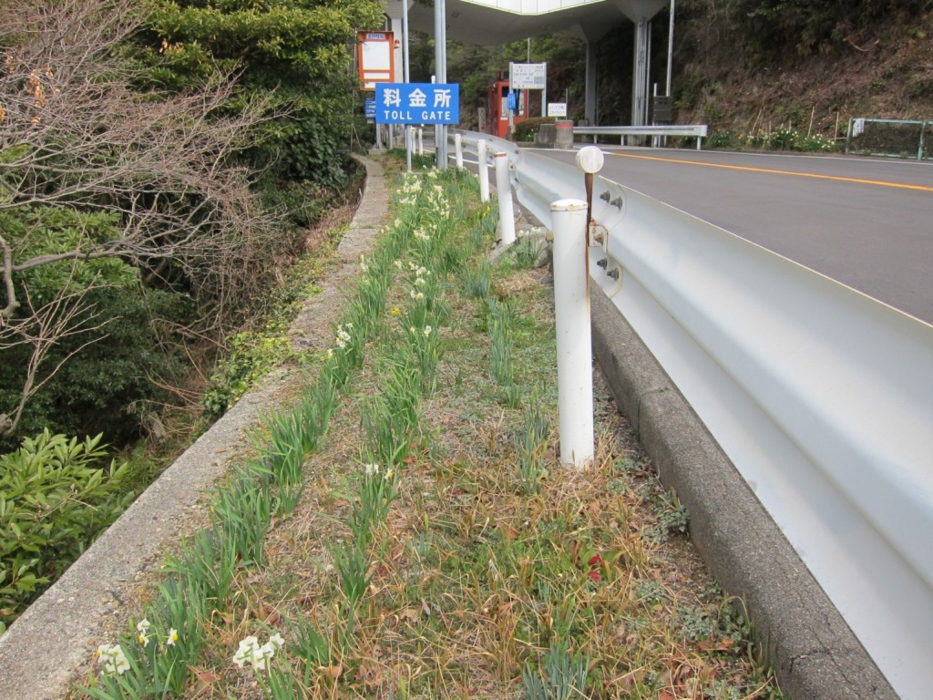 蒲郡料金所付近
